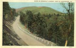Scene on Roosevelt Highway Postcard