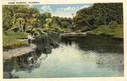 Some Fishing in Florida Postcard