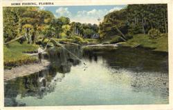 Some Fishing in Florida Postcard Postcard