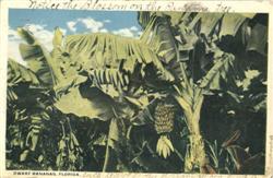 Stock #11491 Thumbnail