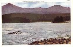 Salmon Fishing, Columbia River Washington Postcard Postcard