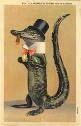 All dressed Up To Meet You In Florida - Alligator Postcard