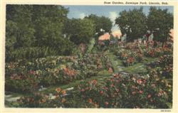 Rose Garden, Antelope Park Postcard