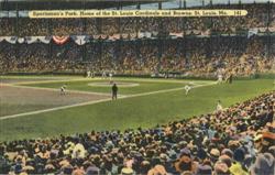 Sportsman's Park St. Louis Cardinals Browns Postcard