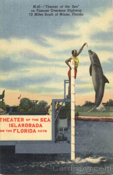 Theater Of The Sea Miami Florida