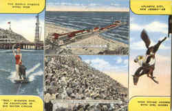 The World Famous Steel Pier Postcard