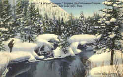 A White Christmas Postcard