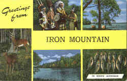 Greetings From Iron Mountain Michigan Postcard Postcard