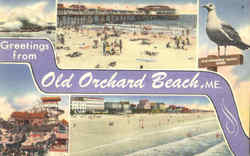 Greetings From Old Orchard Beach Maine Postcard Postcard