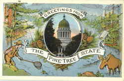 Greetings From The Pine Tree State Maine Postcard Postcard