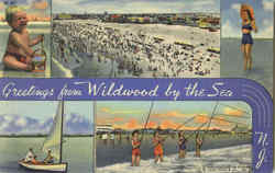 Greetings From Wildwood By The Sea Postcard