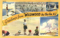 Greetings From The Wildwood By The Sea Postcard