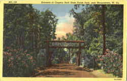 Entrance To Coopers Rock , State Forest Park Morgantown, WV Postcard Postcard