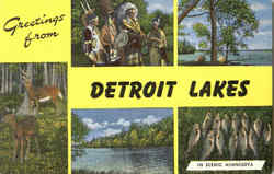 Greetings From Detroit Lakes Minnesota Postcard Postcard