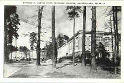 Stephen F. Austin State Teachers College Nacogdoches, TX Postcard Postcard