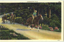 Lovington Postcard