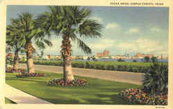 Ocean Drive Corpus Christi, TX Postcard Postcard