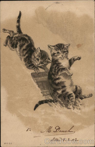 Two Kittens Playing in Snow Cats