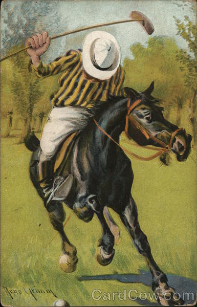 Man Playing Polo Arno Grimm