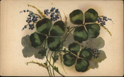 4 Leaf Clovers Flowers Postcard Postcard