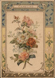 Camelias Flowers Postcard Postcard