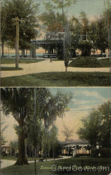 Scenes in Monroe Park Mobile Alabama