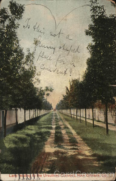 Lane Leading to Ursulines Convent New Orleans Louisiana