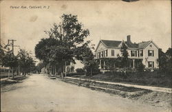 Forest Ave. Postcard