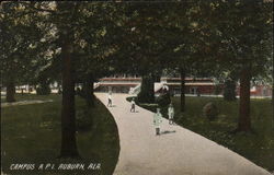 Campus, Alabama Polytechnic Institute Postcard