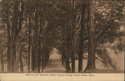 Walk to Lake Nonotuck, Mount Holyoke College Postcard