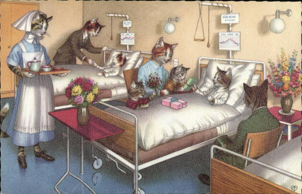 Illustration of cats in a hospital room dressed as humans.