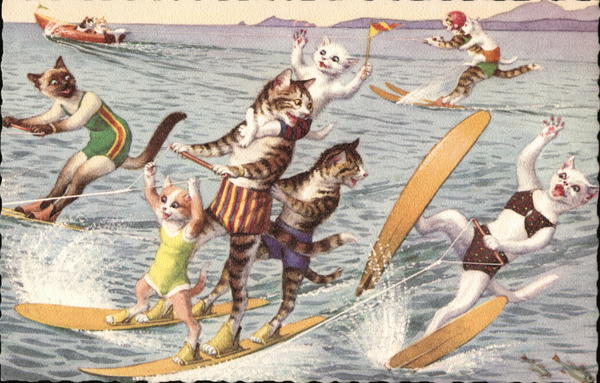 Cats Waterskiing