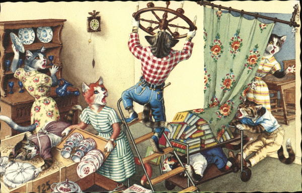 Cats in chaotic house