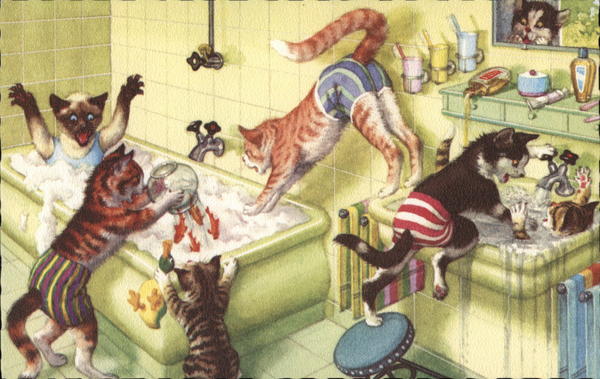 Cats in the Bathroom
