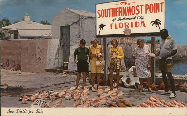 Sea Shells for Sale Key West Florida
