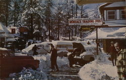 Snowbound Postcard