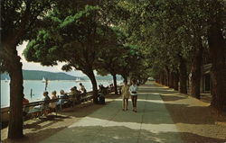 City Park Postcard
