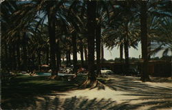 Dr. Hayes Desert Palms Ranch Lodge Indio, CA Postcard Postcard Postcard