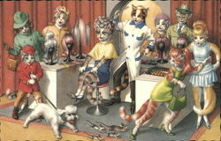 Cat people in a hair salon Cat people in a hair salon