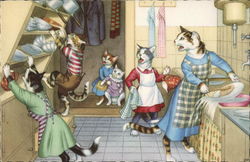 Cats in the kitchen Dressed Animals Postcard Postcard Postcard