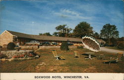 Boxwood Motel Winchester, VA Postcard Postcard Postcard
