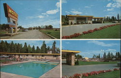 Motel Commodore Postcard