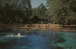 Juniper Springs Recreational Area, Ocala National Forest Postcard