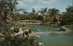 Tiki Gardens Indian Rocks Beach, FL Postcard Postcard Postcard