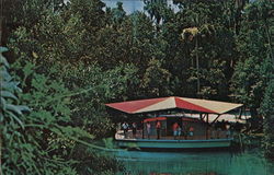 Homosassa Springs Observatory Postcard