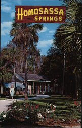 Homosassa Springs Florida Postcard Postcard 