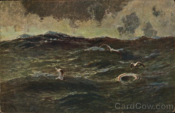 Sea with Seagulls Paul Schreckhaase Art