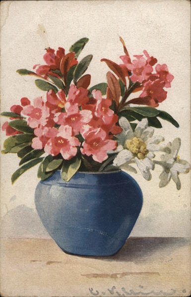Pink and White Flowers C. Klein