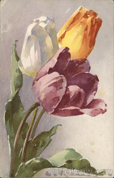Purple, Yellow, and White Flowers C. Klein