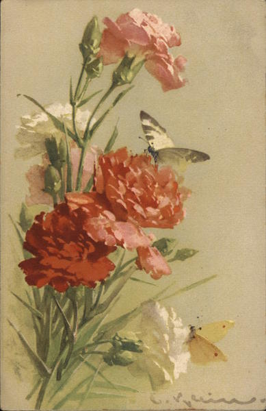 Flowers and Butterflies C. Klein
